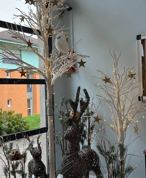 Décors de Noël